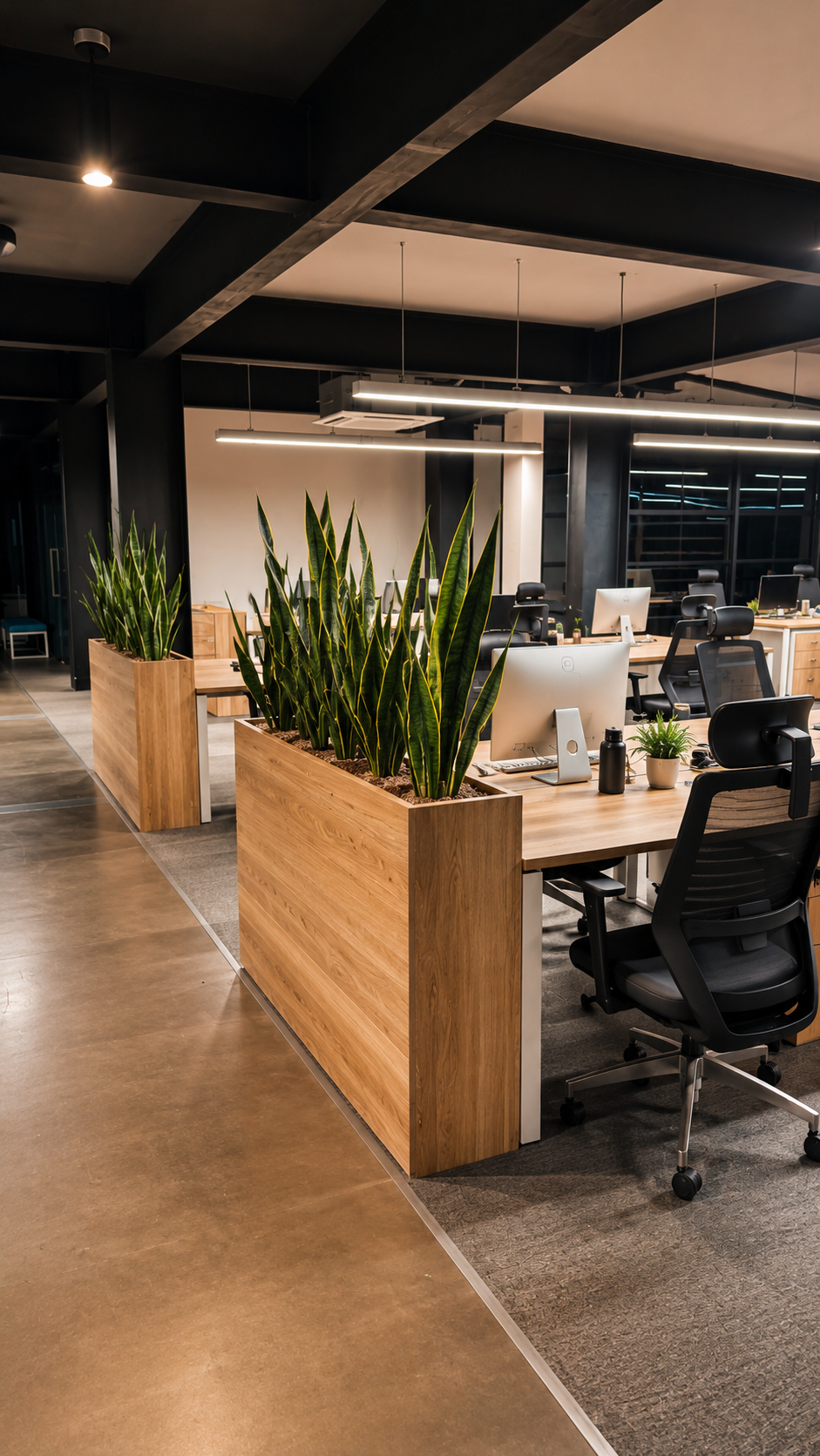 Office Area